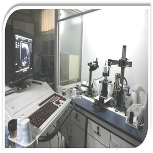 高分辨率小动物超声系统,高分辨率小动物超声系统的原理