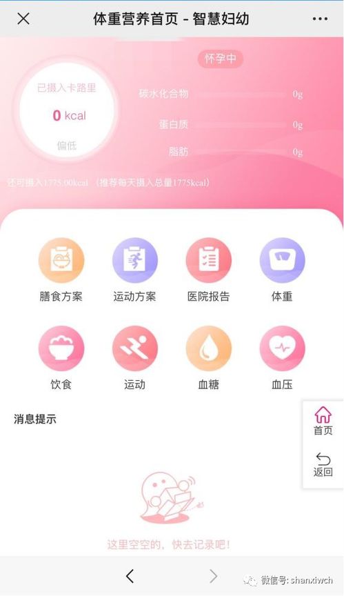 妇幼保健信息管理系统,妇幼保健信息管理系统在现代医疗体系中的重要作用