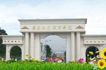 广东南方职业学院教务系统,广东南方职业学院教务系统全面解析——便捷高效的教育管理平台