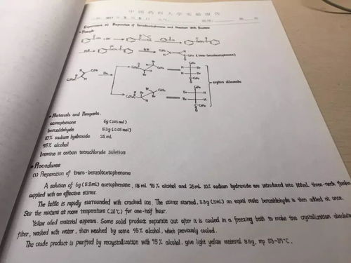 工资系统的实验报告,工资系统操作与功能测试