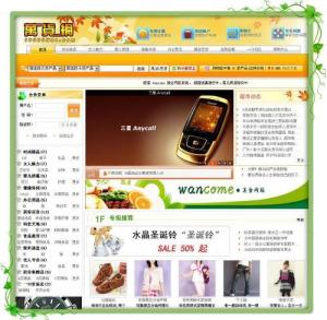 购系统,购物系统在现代零售业中的重要作用