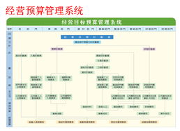 公司预算管理系统,公司预算管理系统的构建与重要性