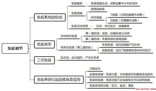 高中免疫系统三大功能