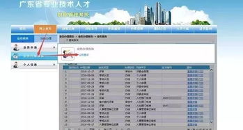 广东省专业技术人才职称系统,助力专业人才发展新平台