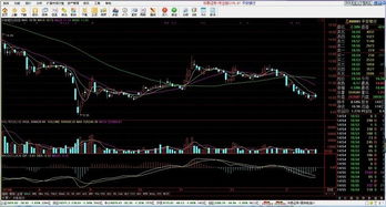 股票自己的交易系统,从理论到实践