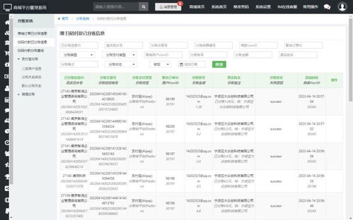 分账系统选,如何选择最适合您的解决方案