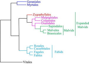 关系类系统,关系类系统的概述