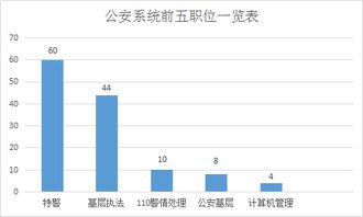公安系统公务员区别,公安系统公务员的区别解析