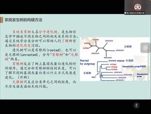 构建系统发育树方法,系统发育树的定义与重要性