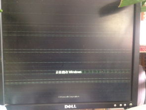 风雨木林系统,深度体验与全面评测