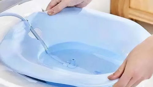 肛门什么系统,肛门系统的结构与功能