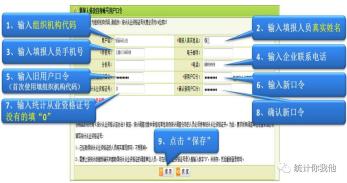 广东省统计直报系统,助力数据高效采集与管理的创新平台