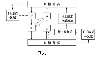 高中中枢系统,中枢系统的概述