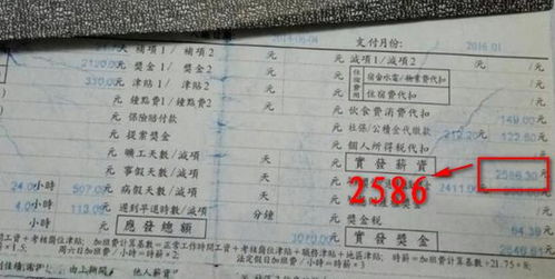 富士康工资查询系统,便捷高效，员工福利新体验