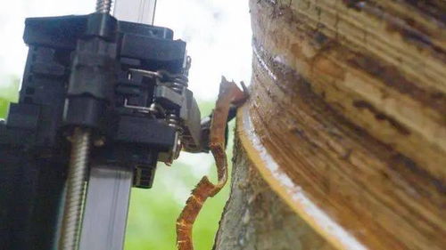 割胶系统,农业现代化的新篇章