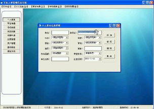 个人信息系统,个人信息系统的崛起与未来发展趋势
