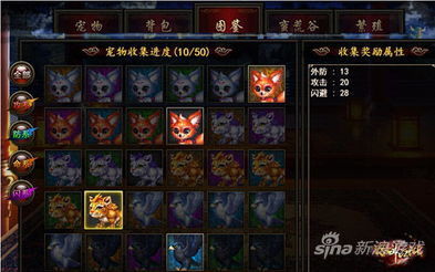 格斗江湖宠物系统,深入解析《格斗江湖》手游宠物系统，助你战力飙升