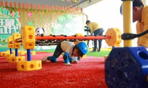 感统之5大感觉系统,揭秘儿童感觉统合的重要性