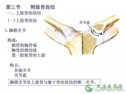 关节刨削系统,微创手术中的得力助手
