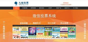 官方投票系统,打造公平、高效的在线投票平台