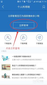 个税系统如何查看企业,操作指南与注意事项