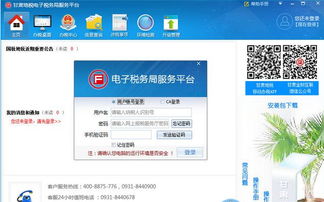 甘肃国税申报系统下载,甘肃国税申报系统下载指南