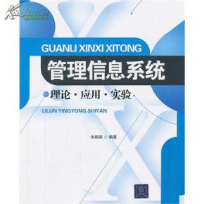 管理信息系统的理论,管理信息系统的概述