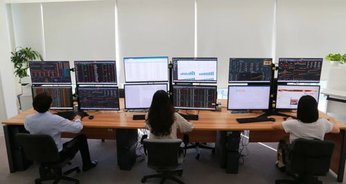 估值与核算系统,估值与核算系统在现代金融中的应用与挑战