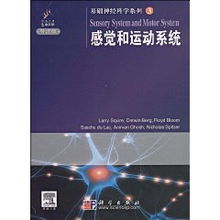 感觉和运动系统,人体感知与行动的基石
