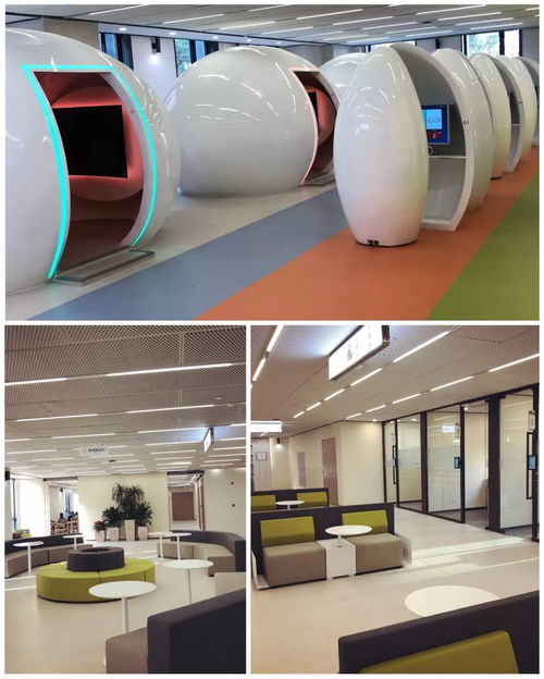 复旦大学身份认证系统,复旦大学身份认证系统概述