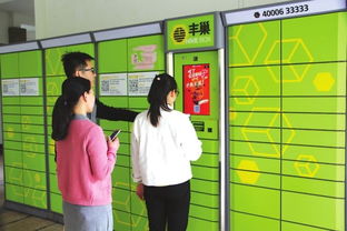 丰巢系统维护,丰巢系统维护的重要性与策略