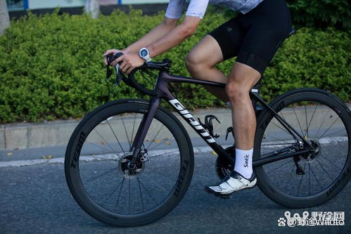 公路车系统6,全面解析公路自行车核心部件