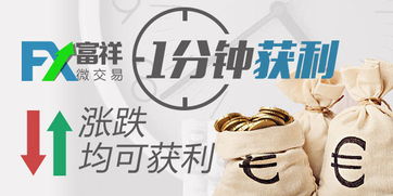 富祥交易系统,富祥交易系统——助力投资者高效交易的智能平台