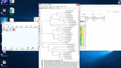 构建系统树,原理、方法与应用