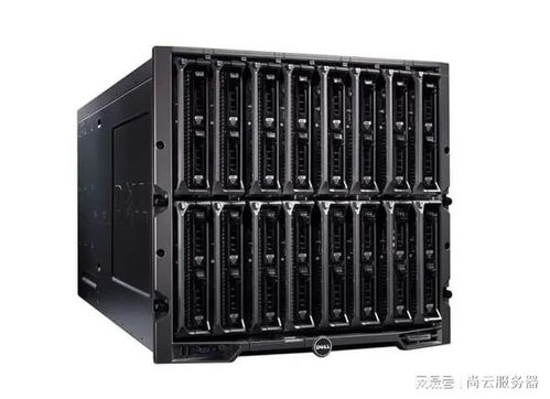 服务器什么系统,Windows vs. Linux