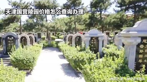 公墓查询系统,便捷的殡葬信息服务平台