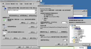 非系统盘是,非系统盘的重要性与使用技巧