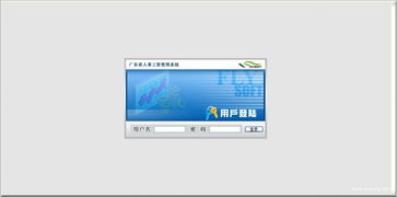 广东省人事工资管理系统,提升人力资源管理效率的关键工具