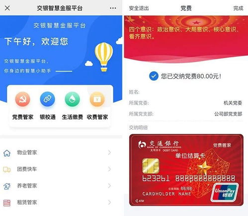 广东党务系统下载,全面了解党务管理信息系统的下载与使用