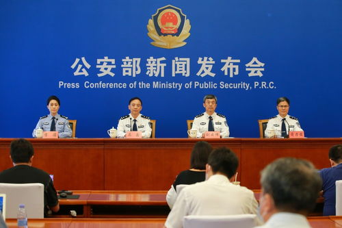 公安部系统,公安部系统信息化建设与未来展望