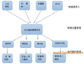 赋码系统的,赋码系统在现代企业中的应用与价值