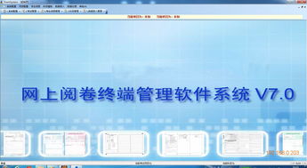 光大网上阅卷系统