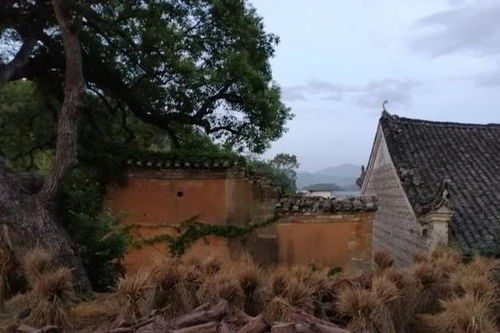 古村落系统,传承与发展的文化瑰宝