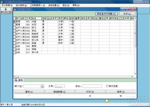 工作统计系统,工作统计系统在现代企业中的应用与价值