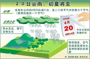 谷雨系统,助力企业提升运营效率的数字化工具