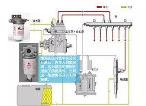 高压共轨燃油系统,高压共轨燃油系统概述