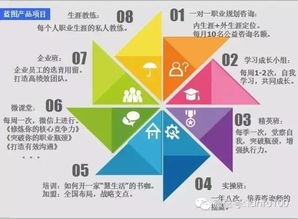 个人生涯规划 耶格系统,耶格系统助力新时代职业发展