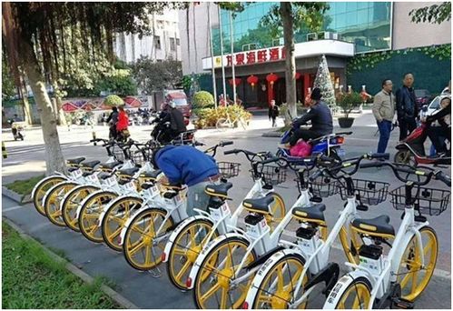 共享单车计费系统,共享单车计费系统的创新与发展