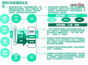 brc消费大系统,构建未来消费生态的新引擎