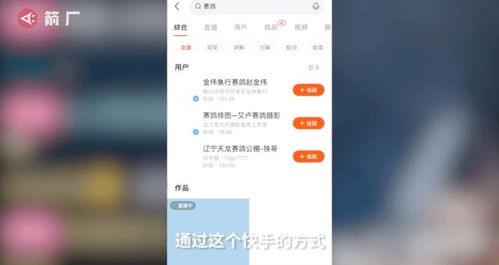 鸽江湖赛鸽查询系统,鸽江湖赛鸽查询系统——信鸽爱好者的得力助手